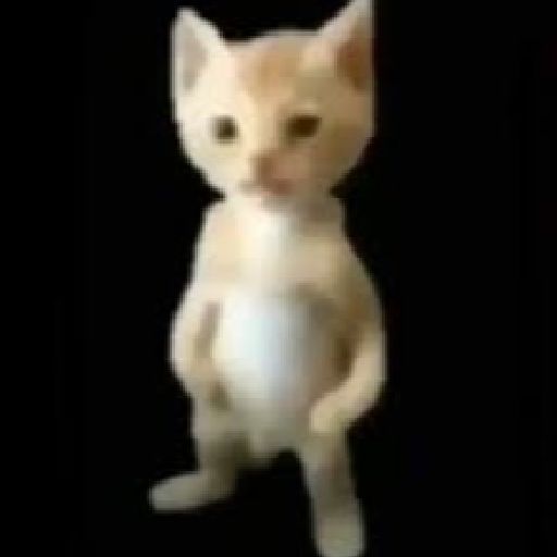 EGOOI5T