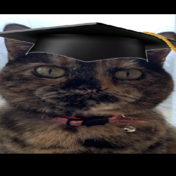 Binky Academy