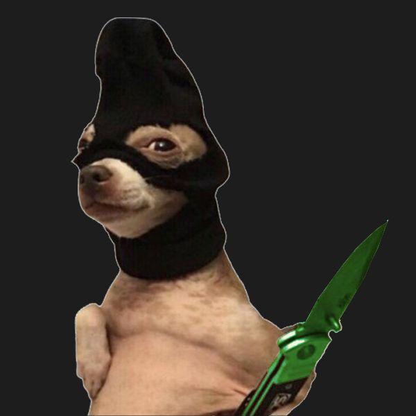 Cruza avatar