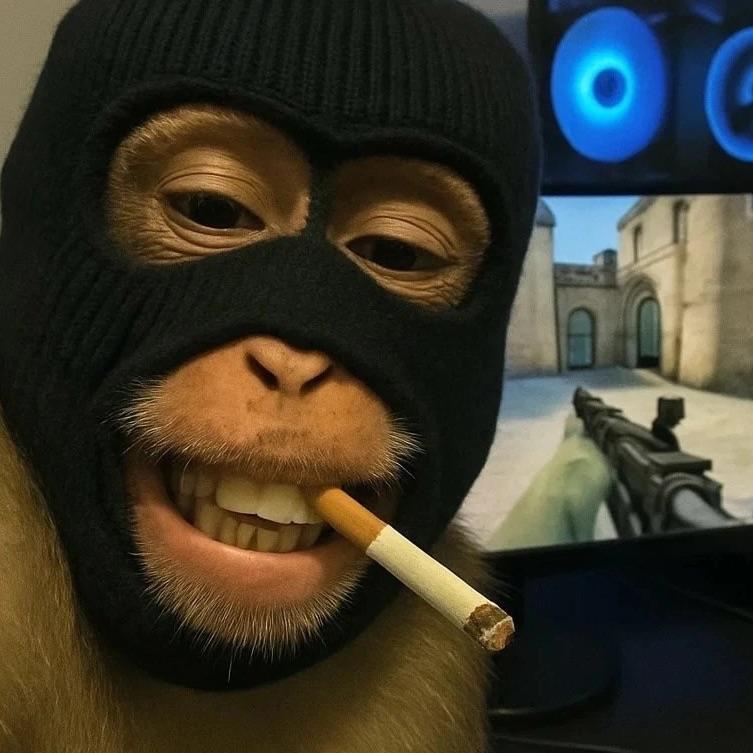 schmoooky avatar