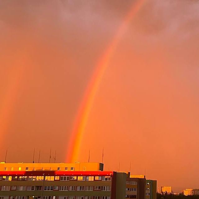 vovan099