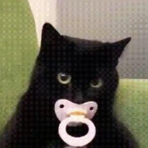 Naffep avatar