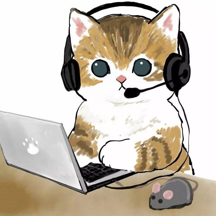 VANKKK27 avatar