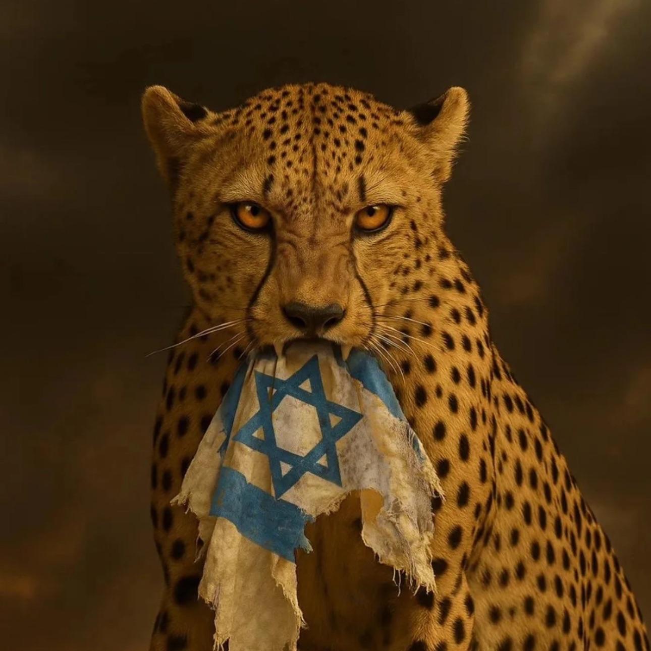 __IRAN__ avatar