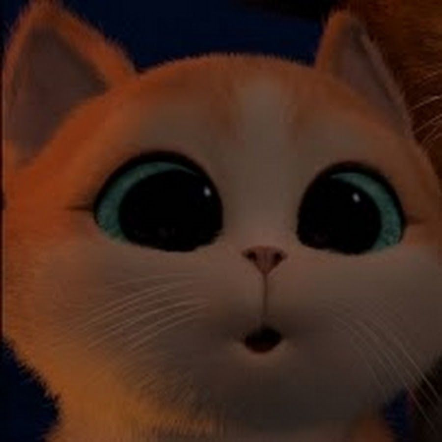 jingxxxd