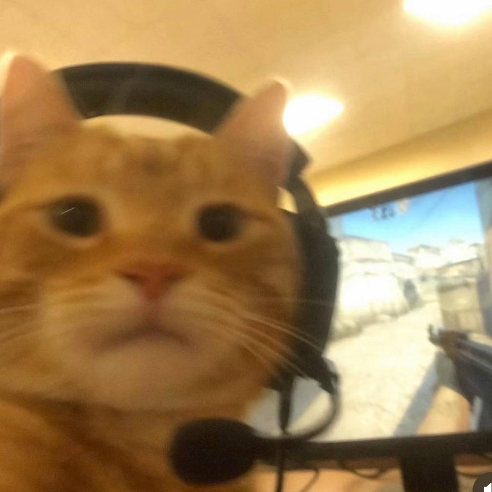 cupo4wo avatar
