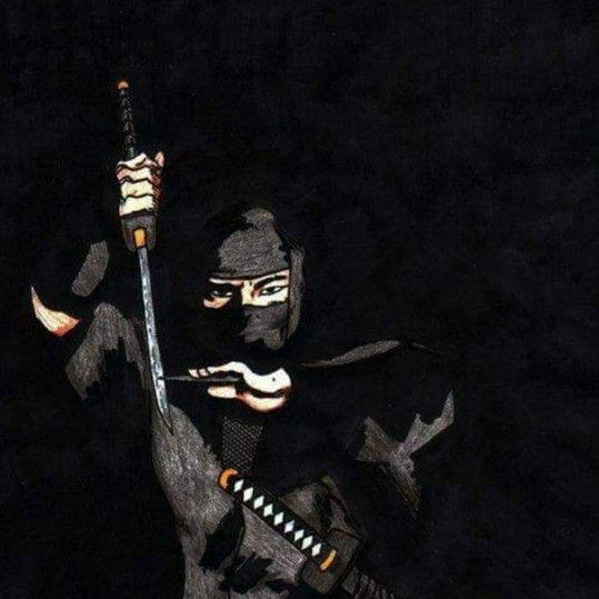 feilu avatar