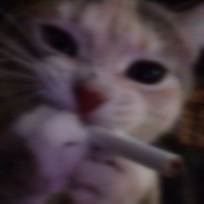 team_N0NAMEE_