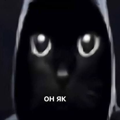 nprazoR FACEIT avatar
