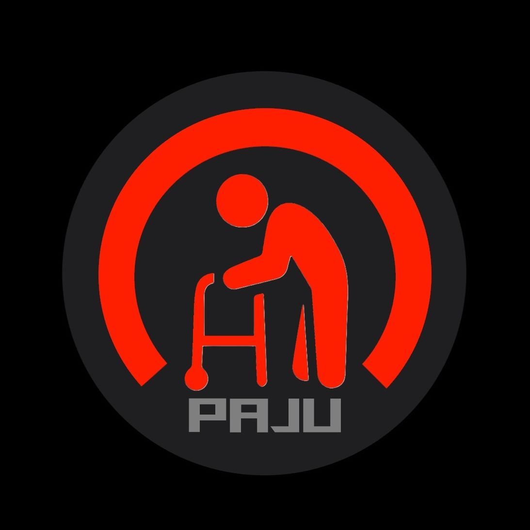 team_Paju