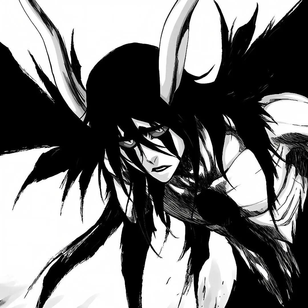 dartgat avatar