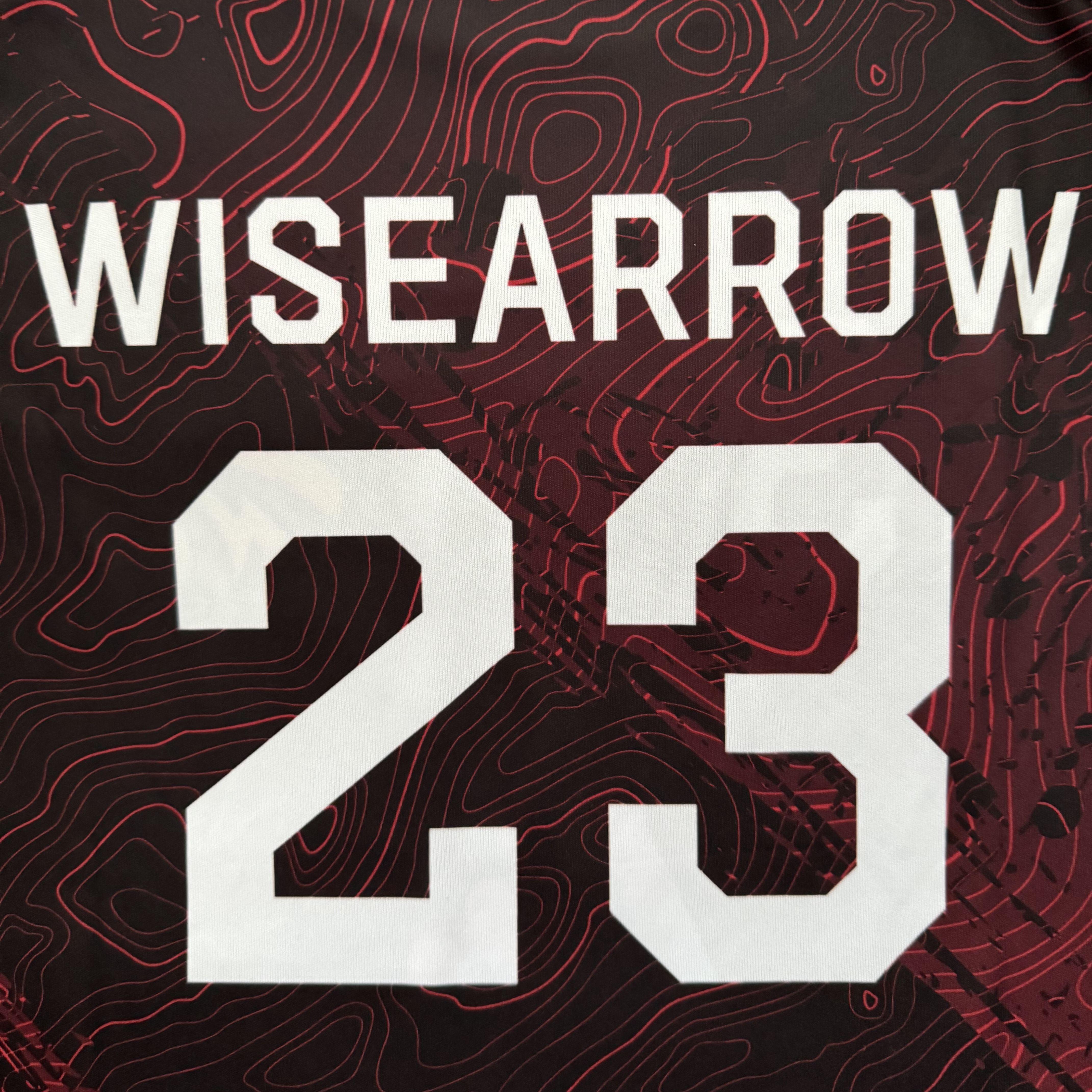 Player WiseArrow23 avatar