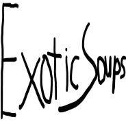 ExoticSoup avatar