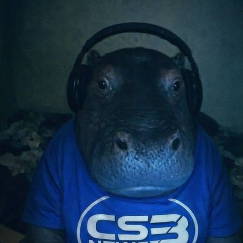team_shxfgxln