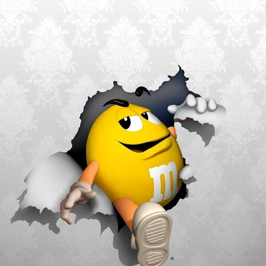 everxinse avatar