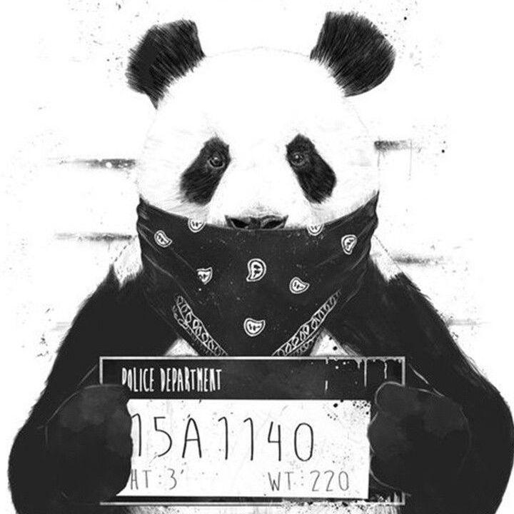 Pandapeekz avatar