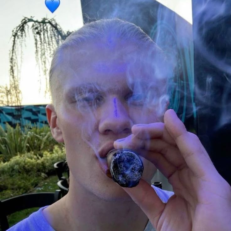 Erling_solto
