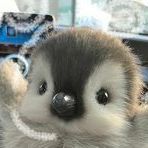 Masal1k