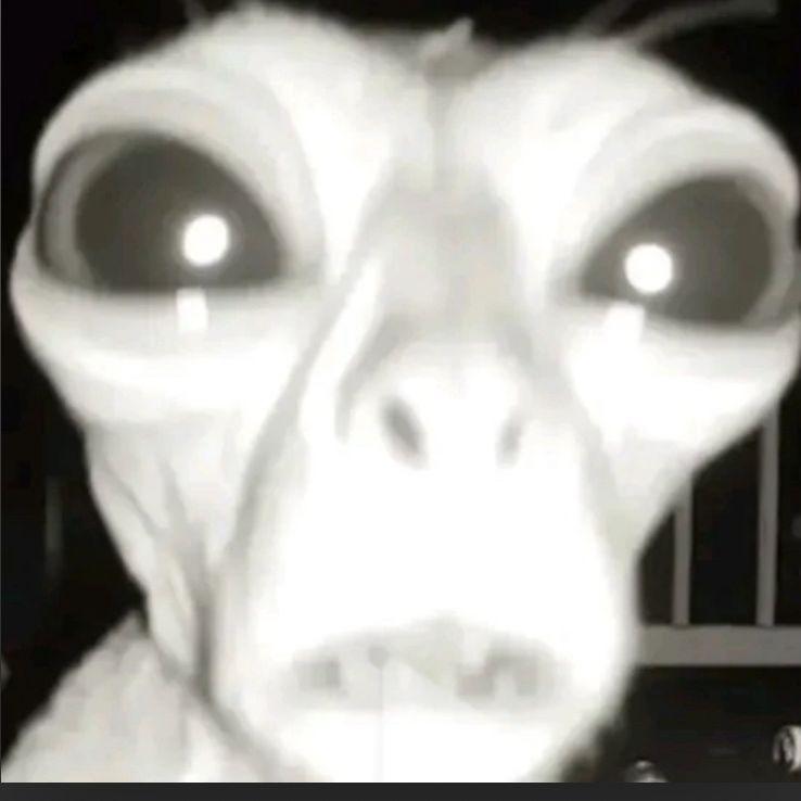Aleeexandru