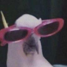 Y3rsT