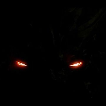sukur FACEIT avatar