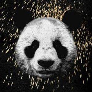 PandaRraa avatar