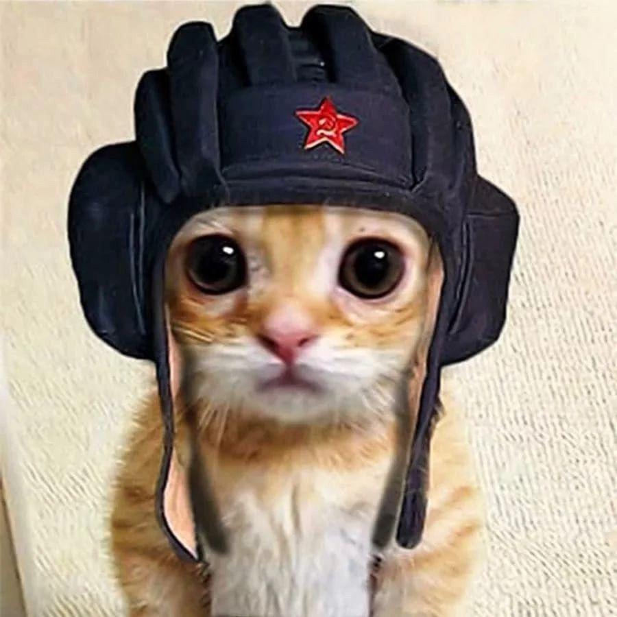 Nzgoytwitch avatar