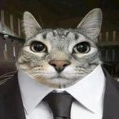 czqka avatar
