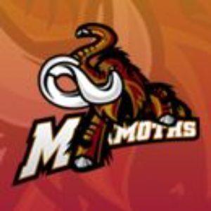MAMMOTHS