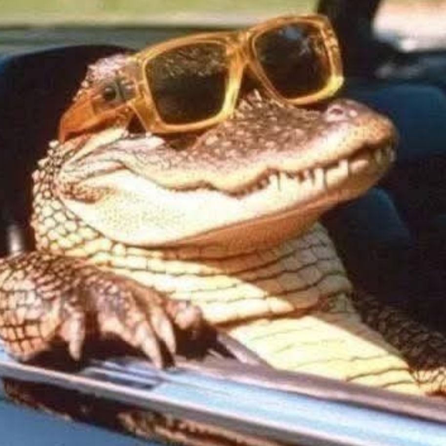 Croccodile