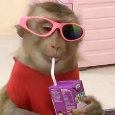 Monkeymilk42 avatar