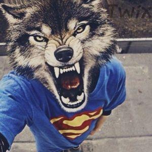 buRnesTop avatar