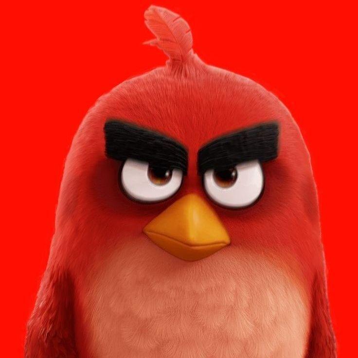 fsmtltr avatar