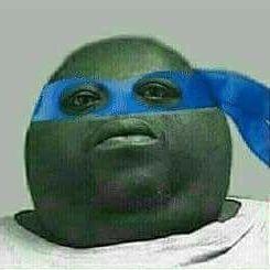Avisfox avatar