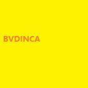 BVDINCA avatar