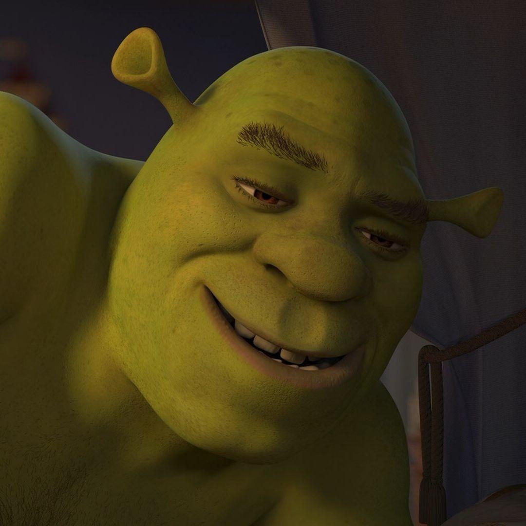 seelfi avatar