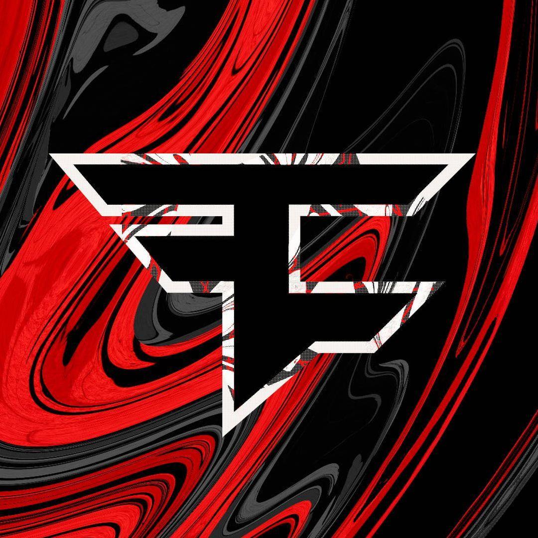 CEO237