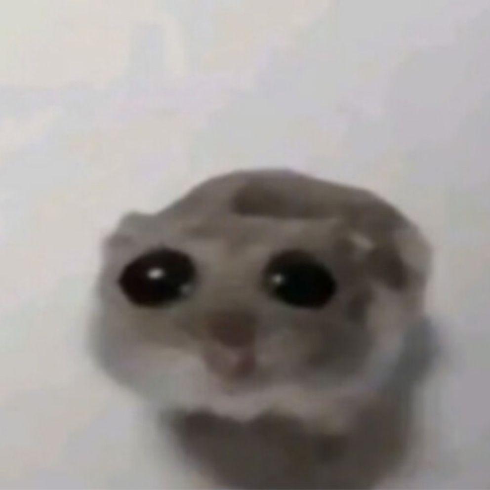 zimolas