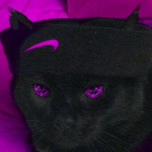 Y08