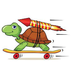 FastTurtle96