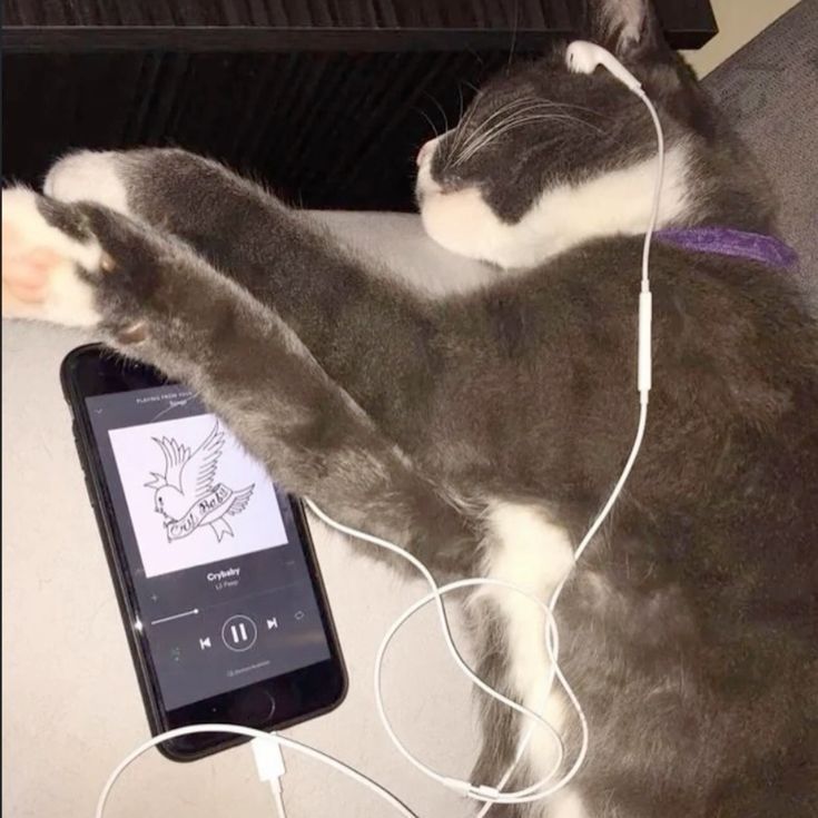 _lilpeepfan_