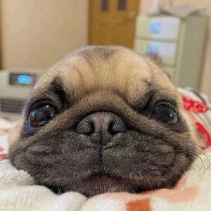 XuTpyk avatar