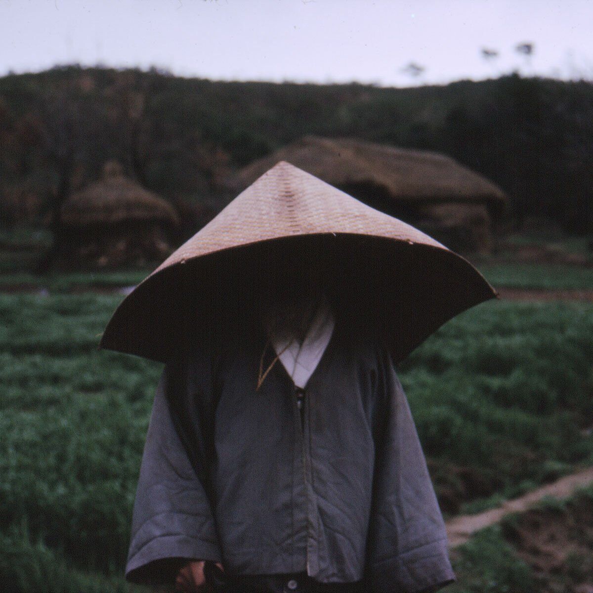 jjuba