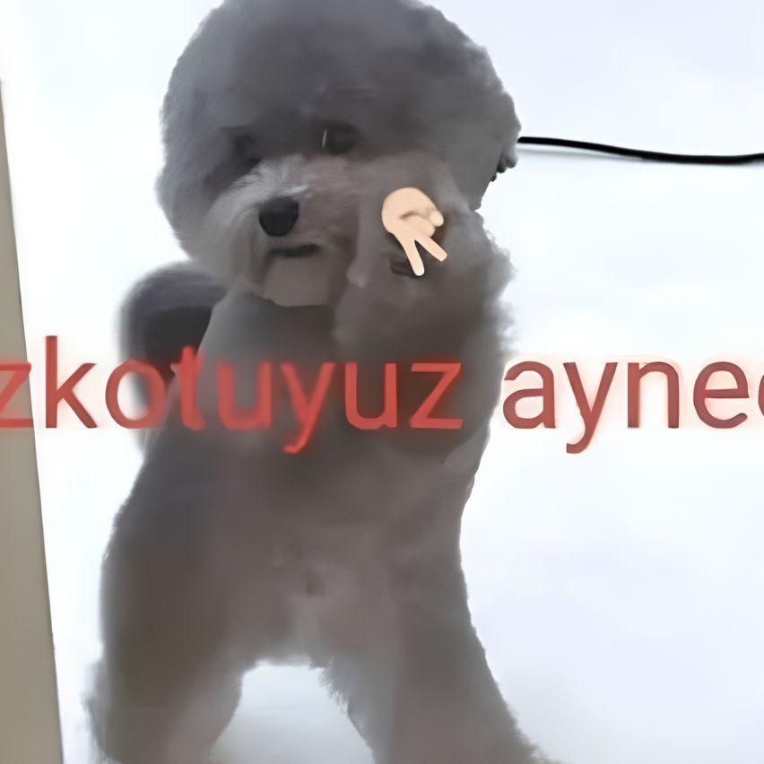 MummyPeker