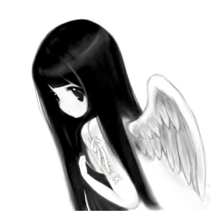aidi
