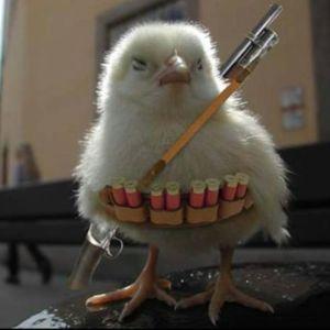 dirtychicken avatar