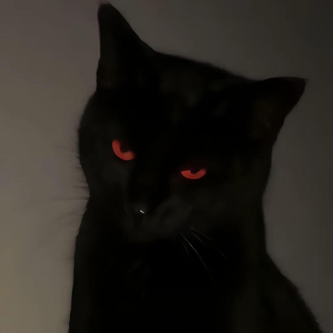 RichardRobin avatar