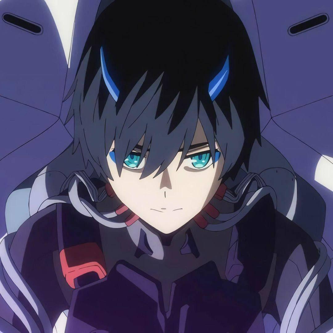 Zeldono avatar