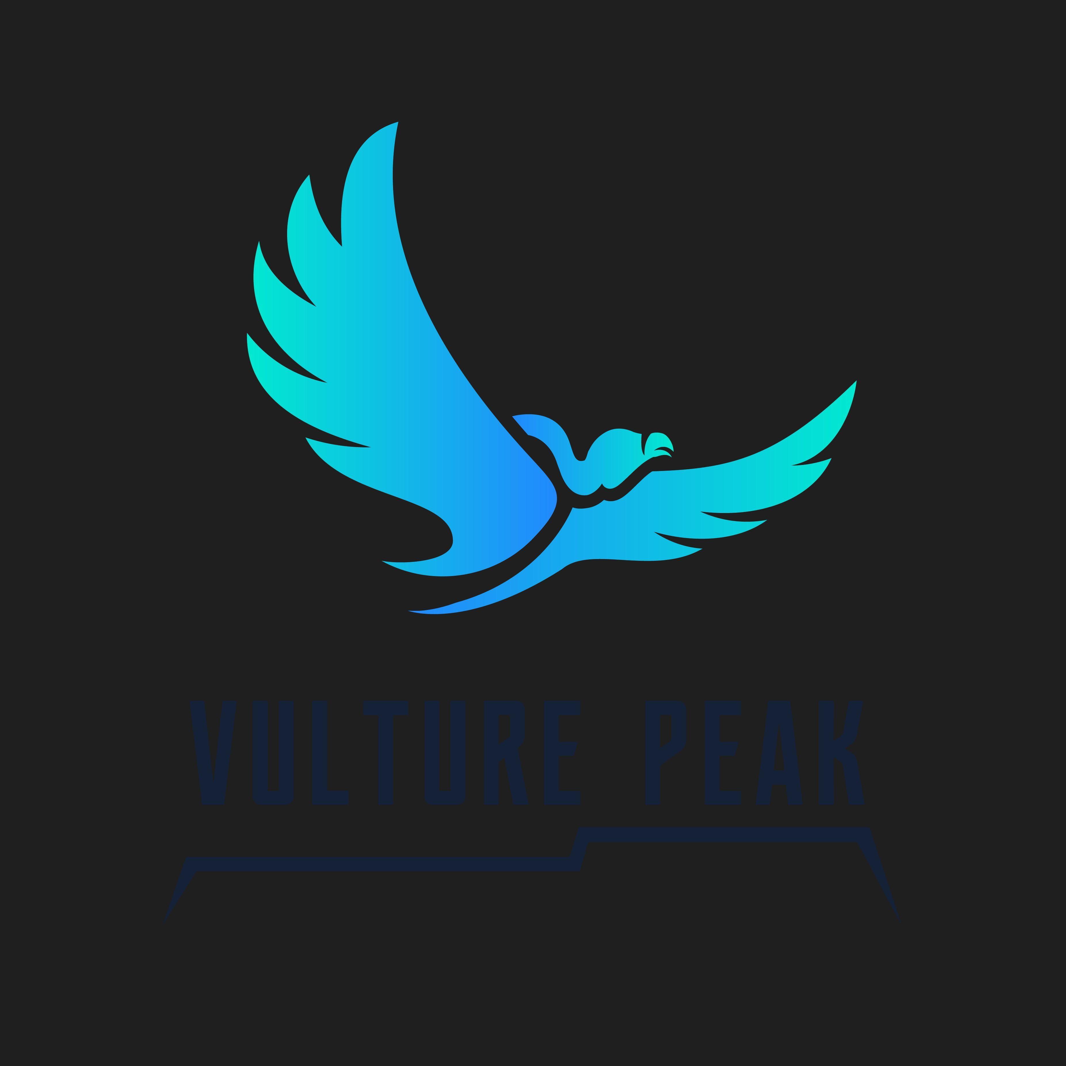 Player Valture_Peak avatar