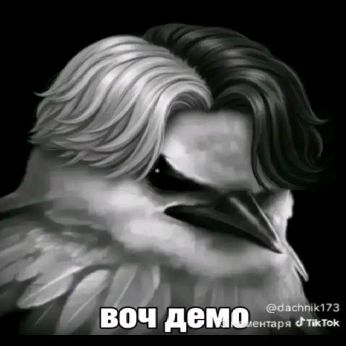 NyamkkA1